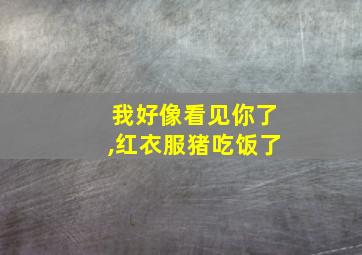 我好像看见你了,红衣服猪吃饭了