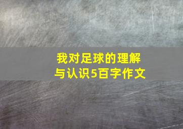 我对足球的理解与认识5百字作文