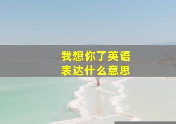 我想你了英语表达什么意思