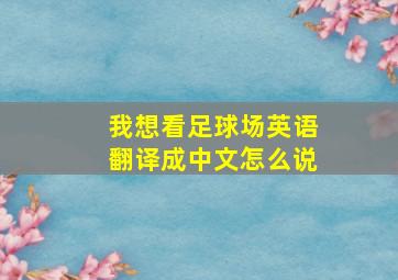 我想看足球场英语翻译成中文怎么说