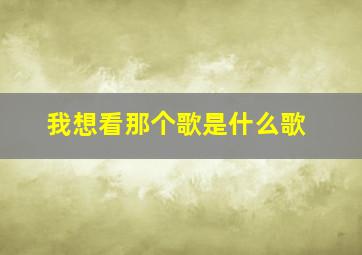 我想看那个歌是什么歌