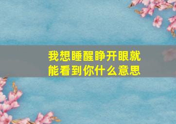 我想睡醒睁开眼就能看到你什么意思