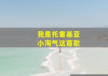 我是托雷基亚小淘气这首歌