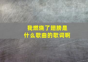 我燃烧了翅膀是什么歌曲的歌词啊