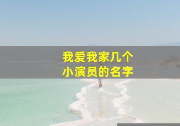 我爱我家几个小演员的名字