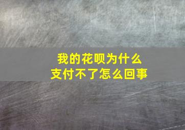 我的花呗为什么支付不了怎么回事