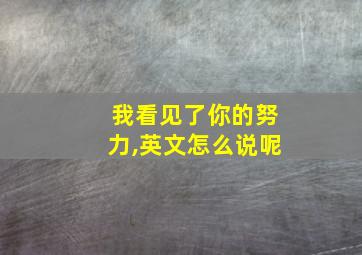 我看见了你的努力,英文怎么说呢