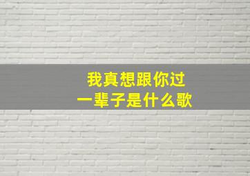 我真想跟你过一辈子是什么歌