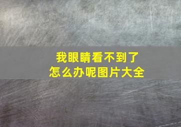 我眼睛看不到了怎么办呢图片大全