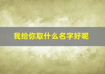 我给你取什么名字好呢