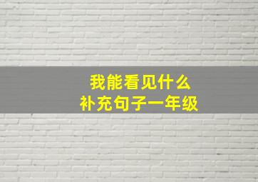 我能看见什么补充句子一年级