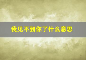 我见不到你了什么意思