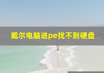 戴尔电脑进pe找不到硬盘