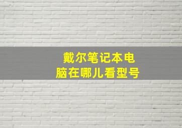 戴尔笔记本电脑在哪儿看型号