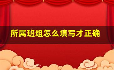 所属班组怎么填写才正确