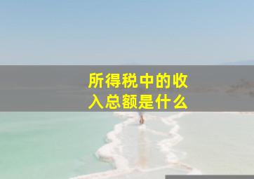 所得税中的收入总额是什么