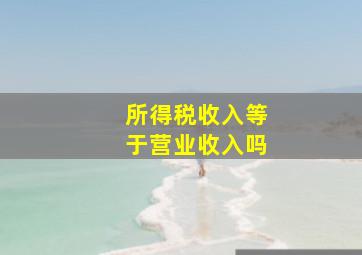 所得税收入等于营业收入吗