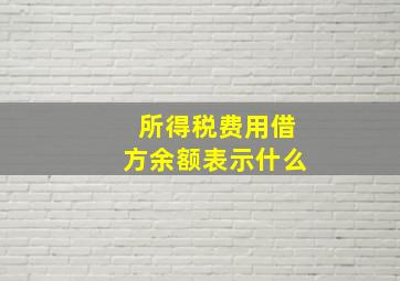 所得税费用借方余额表示什么