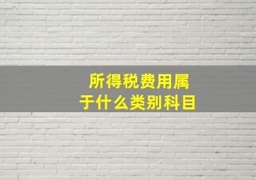 所得税费用属于什么类别科目