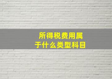 所得税费用属于什么类型科目