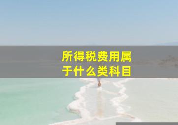 所得税费用属于什么类科目