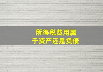 所得税费用属于资产还是负债