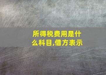 所得税费用是什么科目,借方表示