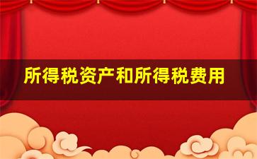 所得税资产和所得税费用