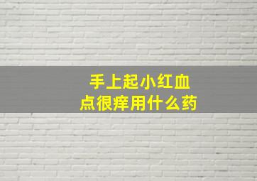 手上起小红血点很痒用什么药