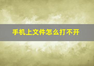 手机上文件怎么打不开