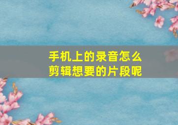 手机上的录音怎么剪辑想要的片段呢