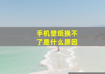 手机壁纸换不了是什么原因