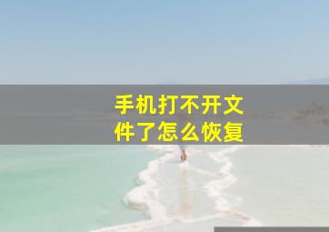 手机打不开文件了怎么恢复