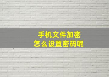 手机文件加密怎么设置密码呢