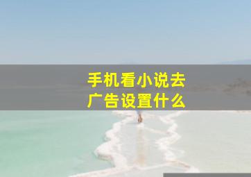 手机看小说去广告设置什么