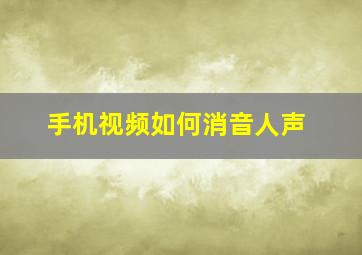 手机视频如何消音人声