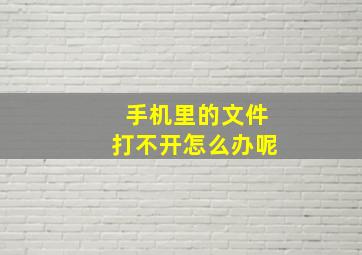 手机里的文件打不开怎么办呢