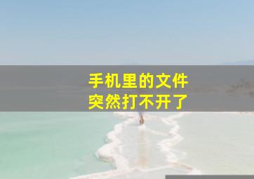 手机里的文件突然打不开了