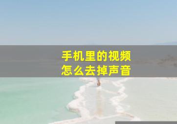 手机里的视频怎么去掉声音