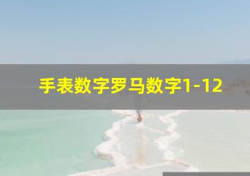 手表数字罗马数字1-12