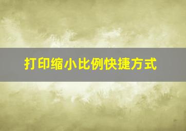 打印缩小比例快捷方式