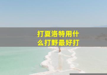 打夏洛特用什么打野最好打