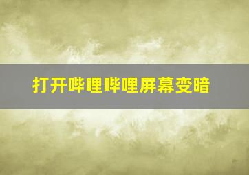 打开哔哩哔哩屏幕变暗