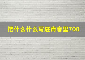 把什么什么写进青春里700