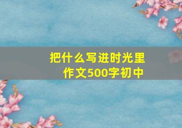 把什么写进时光里作文500字初中