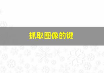 抓取图像的键