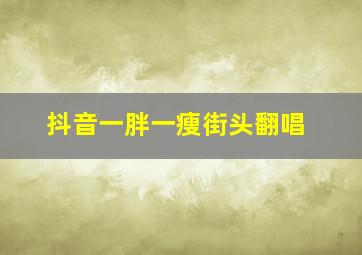 抖音一胖一瘦街头翻唱