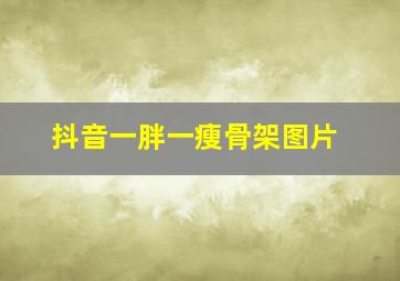 抖音一胖一瘦骨架图片