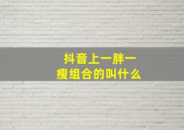 抖音上一胖一瘦组合的叫什么