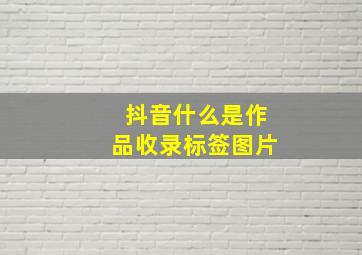 抖音什么是作品收录标签图片